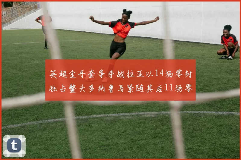英超金手套争夺战拉亚以14场零封独占鳌头多纳鲁马紧随其后11场零封